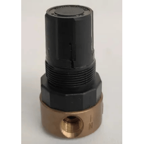 Regulador-Aire-14-0-60Psi-R362-02Bz248-CO10050011-0